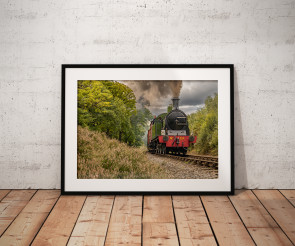 To buy a print or any of the below please click on the images